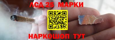 гашик Малгобек