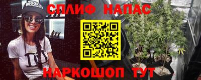 гашик Малгобек