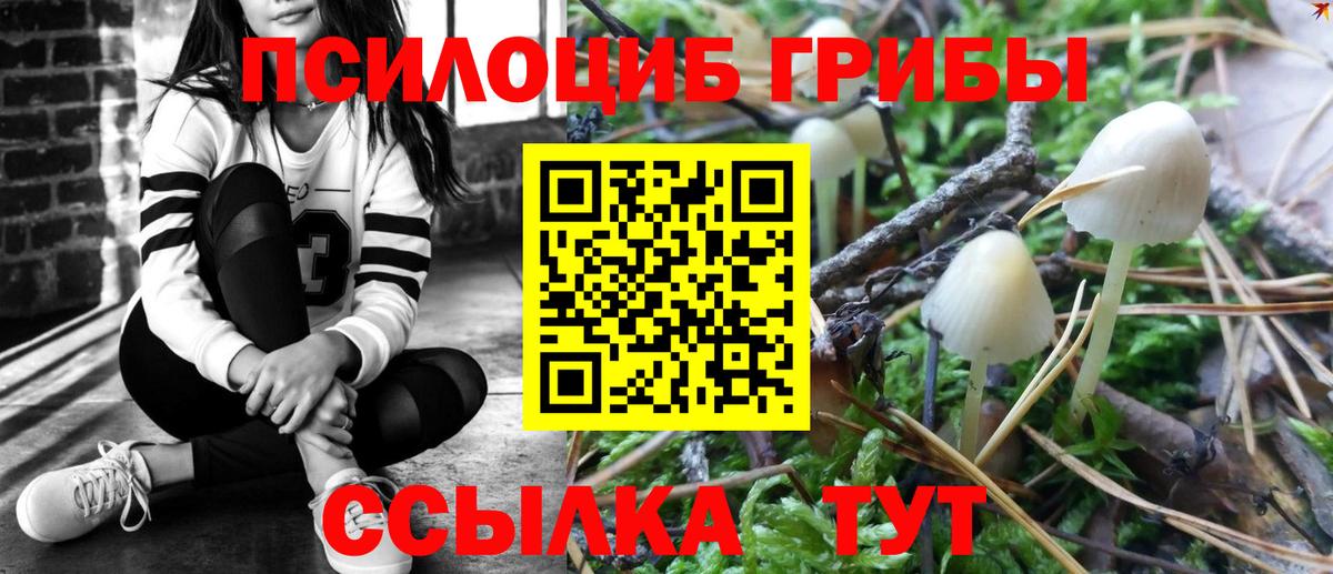 Псилоцибиновые грибы прущие грибы Железногорск